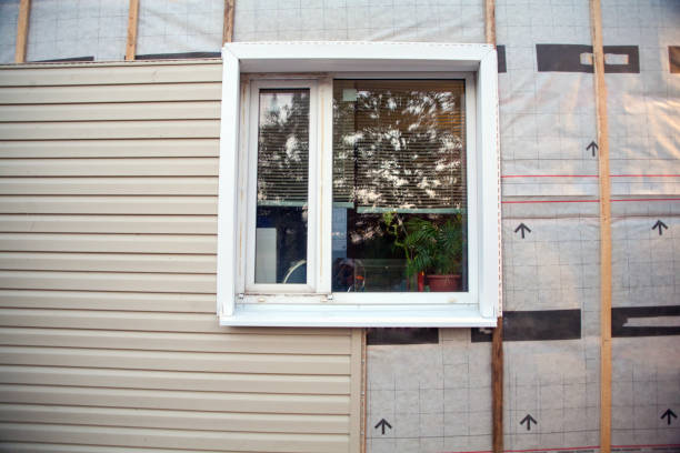 Best Insulated Siding Installation  in Clarendon Hls, IL