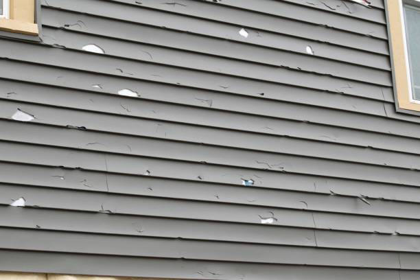 Best Siding for New Construction  in Clarendon Hls, IL