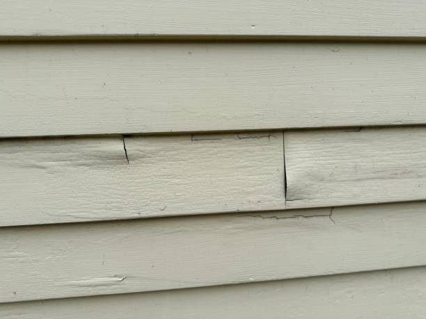 Siding for Commercial Buildings in Clarendon Hills, IL